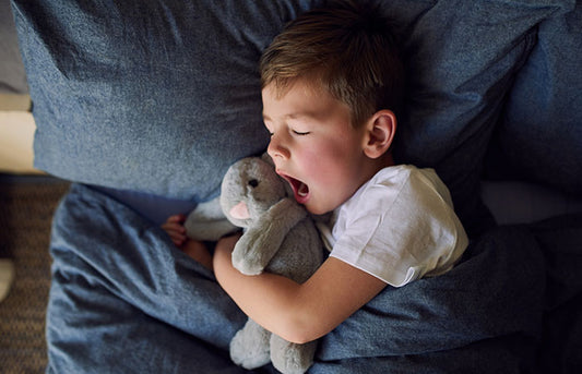 A Boy Sleep with Bunny plush toy